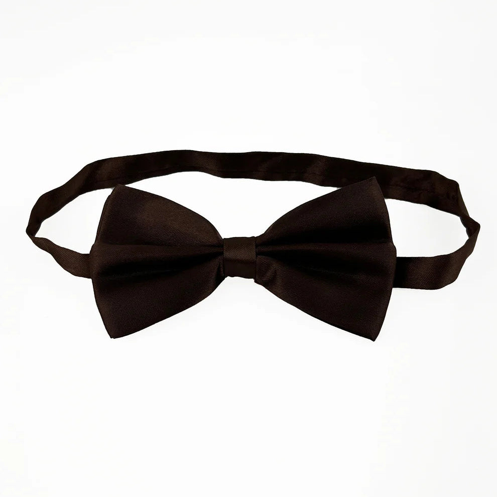 Tie Loft Men Solid Dark Brown Self Plain Satin Bow Tie
